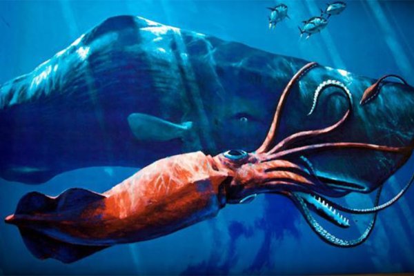Сайт кракен магазин kraken2 tor2 xyz